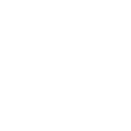 Multinational School logo
