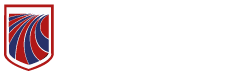New Model International School logo