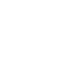 LSL Education Group logo